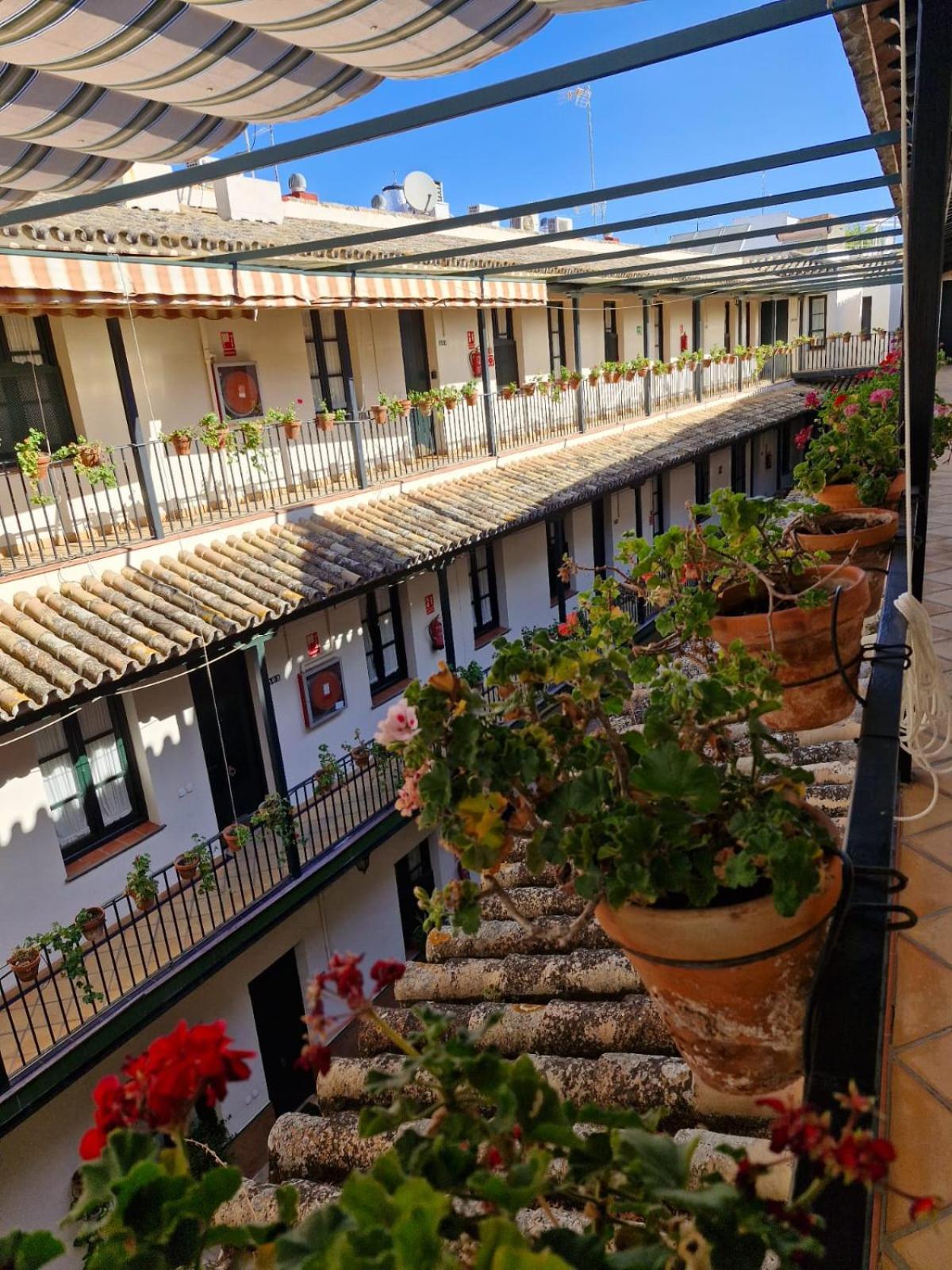 Апартаменты Patio Cartuja Севилья Экстерьер фото