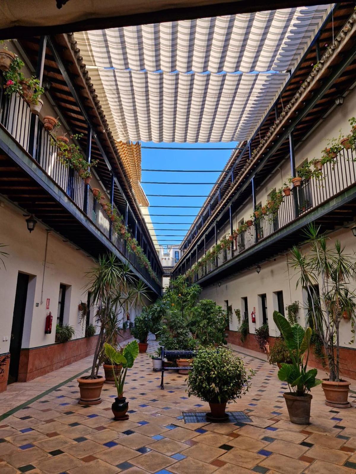 Апартаменты Patio Cartuja Севилья Экстерьер фото