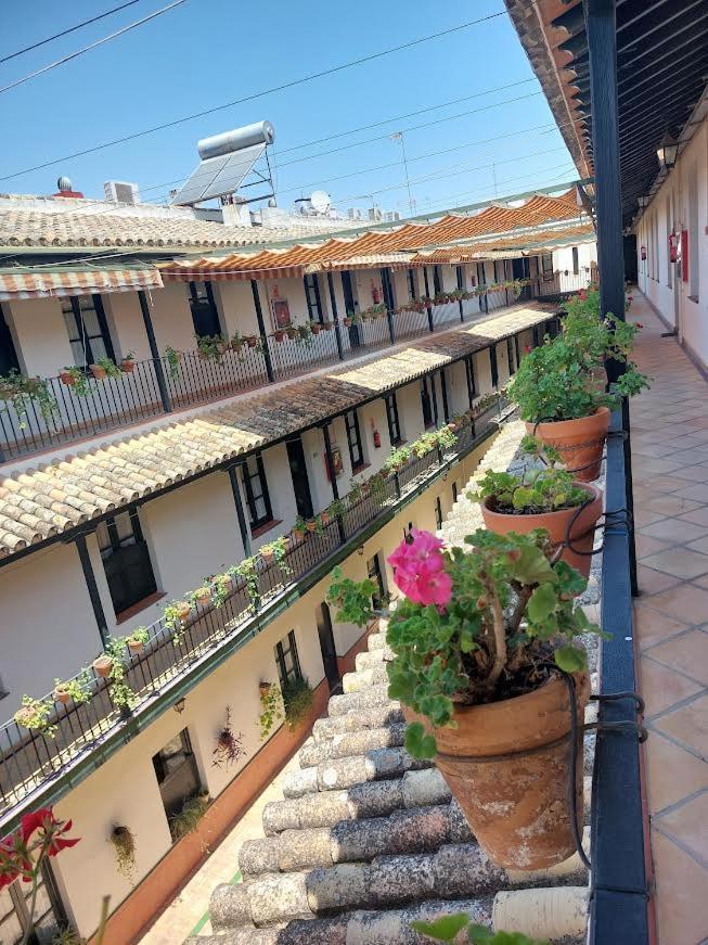 Апартаменты Patio Cartuja Севилья Экстерьер фото
